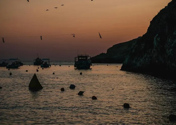 The Valley Collection - A21 沙拉